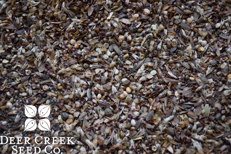 Deer Proof Wildflower Mix | Homesteading | Deer Creek Seed