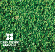 Microclover (Pre-Inoculated & Coated)