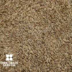 Chewings Fescue (Fine) (Coated)