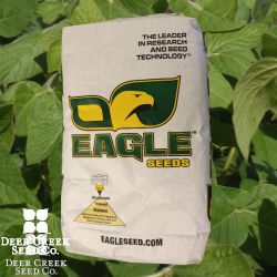 Eagle Wildlife Manager's RR Soybean