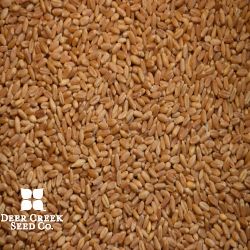 Linkert Certified Wheat