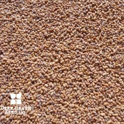 390 HyQual Brand Alfalfa (Pre-inoculated) 