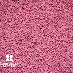 Great Lakes Rapid Cut Brand Alfalfa (Pre-inoculated & Coated)