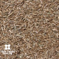 50/50 Kentucky Bluegrass/Perennial Ryegrass Turf Mix