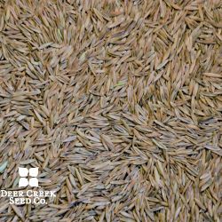 5 Way Fescue Turf Mix