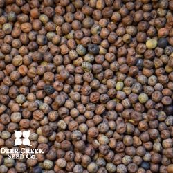 4010 Forage Pea