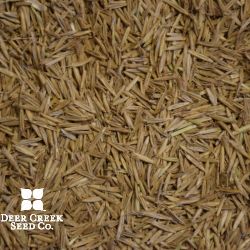 Mandan Canada Wild Rye