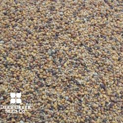 Premium Lowland Clover Mix