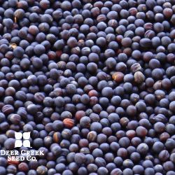 Brassica Blend Food Plot Mix