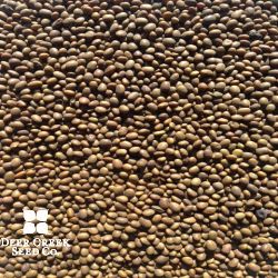 Kester’s Bobwhite Trailing Soybean