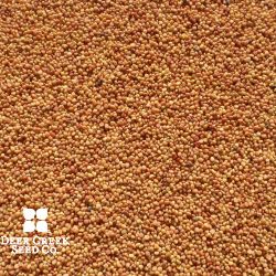 Ladino White Clover (Pre-inoculated & Coated)