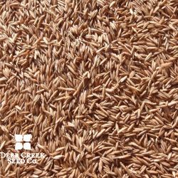 98-85 Kentucky Bluegrass