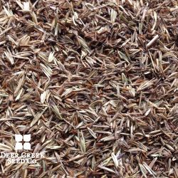 Upland Native Grass Mix