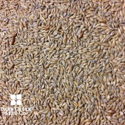 RC Big Rock Switchgrass