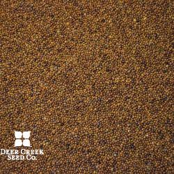 VNS Birdsfoot Trefoil