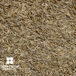 Creeping Red Fescue (Fine)