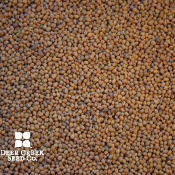 Crimson Annual Red Clover (Pre-inoculated)