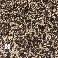 Quick and Thick Dog spot remover