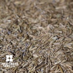 Pollinator Friendly Turf Mix