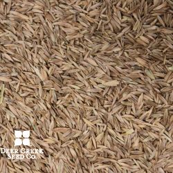 Equine "Endophyte-Free" Pasture Mix