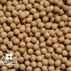 Refine Brand GT1 Forage Soybean