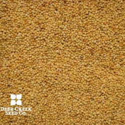 German Millet
