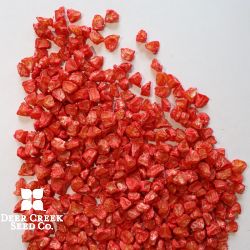 Incredible Yellow Sweet Corn (Treated)