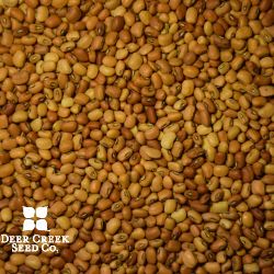 Iron & Clay Cowpea