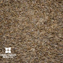 Low Grow Fescue Turf Mix