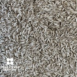 Microlawn Mix seed 