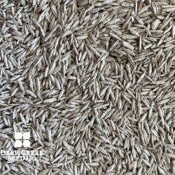 Microlawn Mix seed 