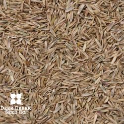 Beef Plus Pasture Mix 