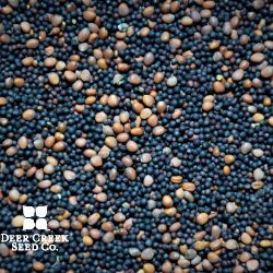 Prime Time Brassica Food Plot Mix