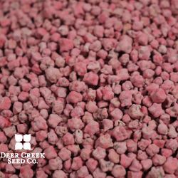 Sugar Beet  (Coated)