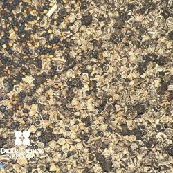 Beets & Sweets Food Plot Mix