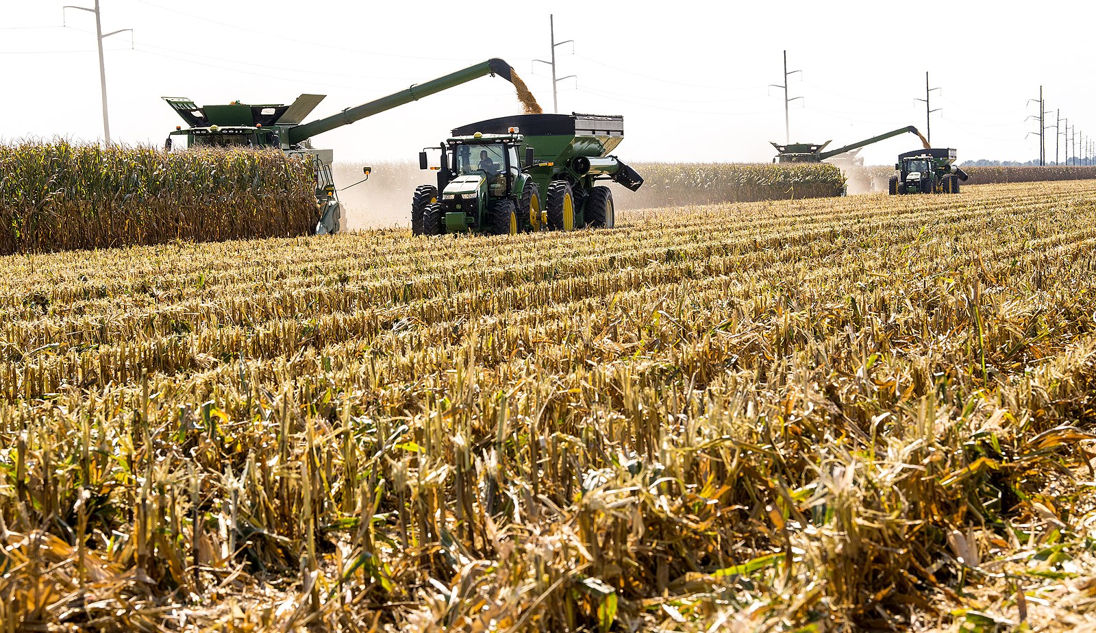 Improving Crop Yields: Nine Proven Strategies for Maximum Production