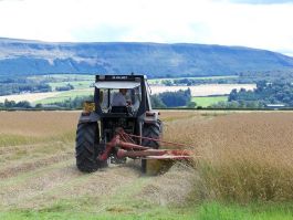 How and When to Cut Your Forage Crops