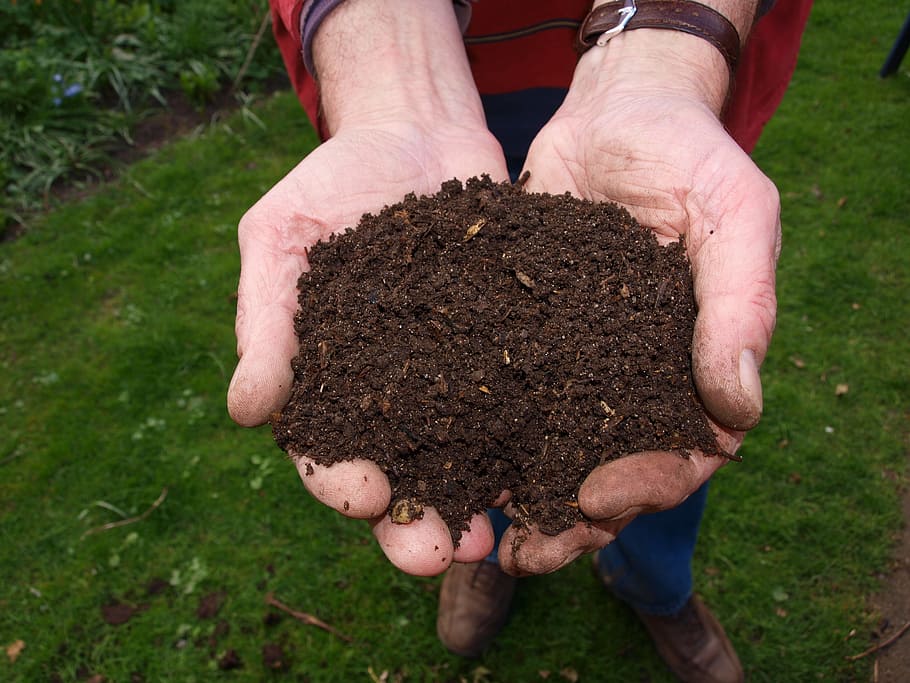 How to Get the Best Soil For a Wildflower Meadow