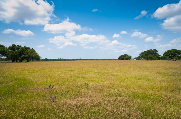 Fighting the "Summer Slump": Forage Options for Dry Soil