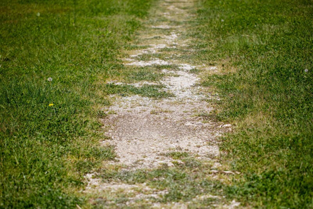 Bare spot of grass