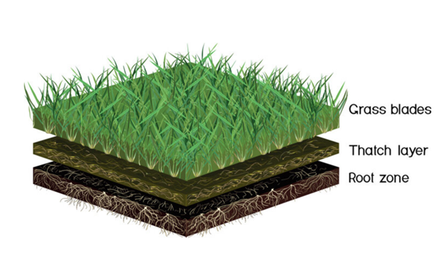 Soil and turf layered