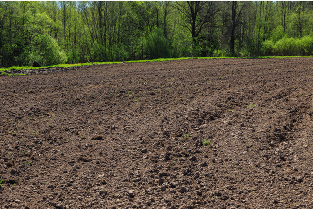 Seed bed preparation