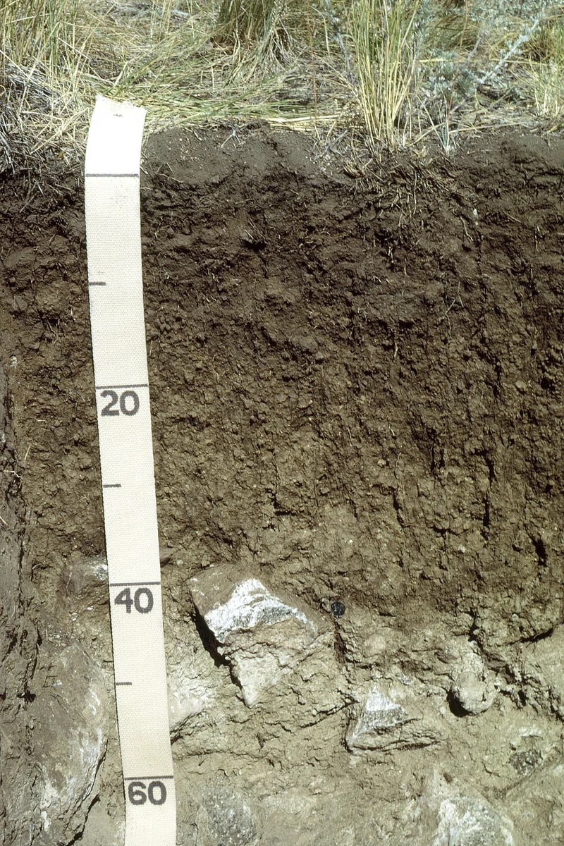 soil nutrient depth