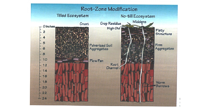 root zone modification
