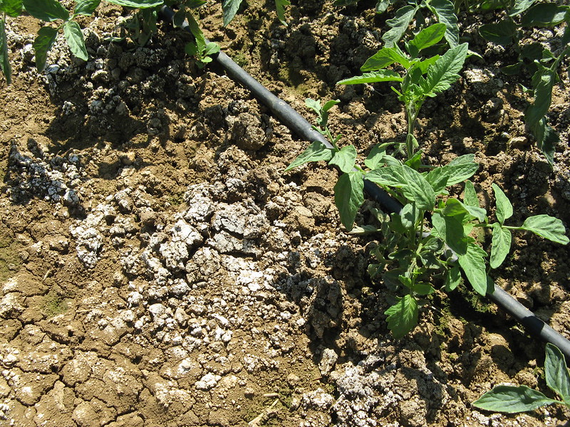 soil irrigation