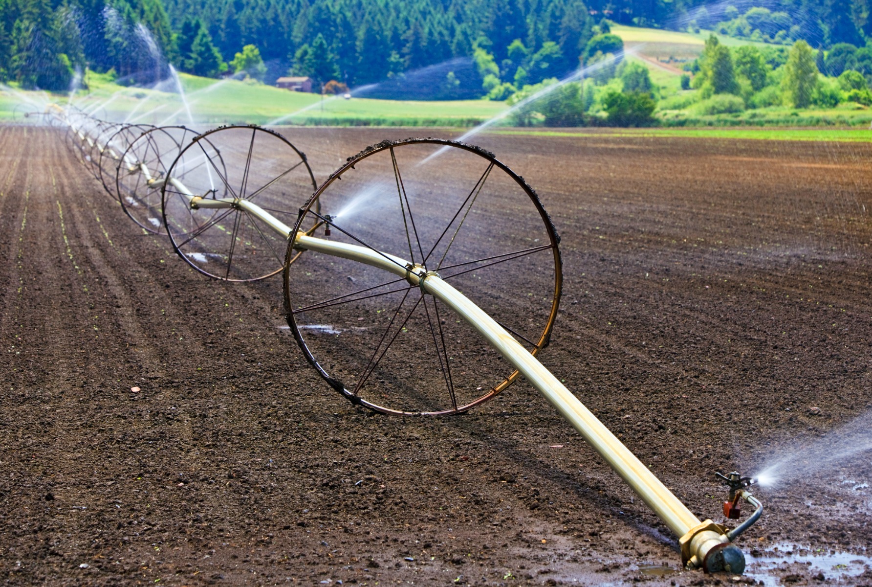wheel line irrigation